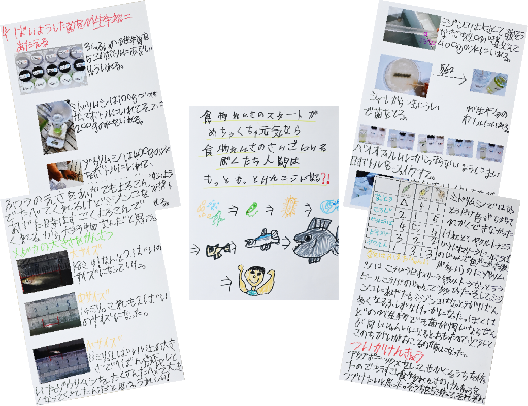 多田 伊織の作品