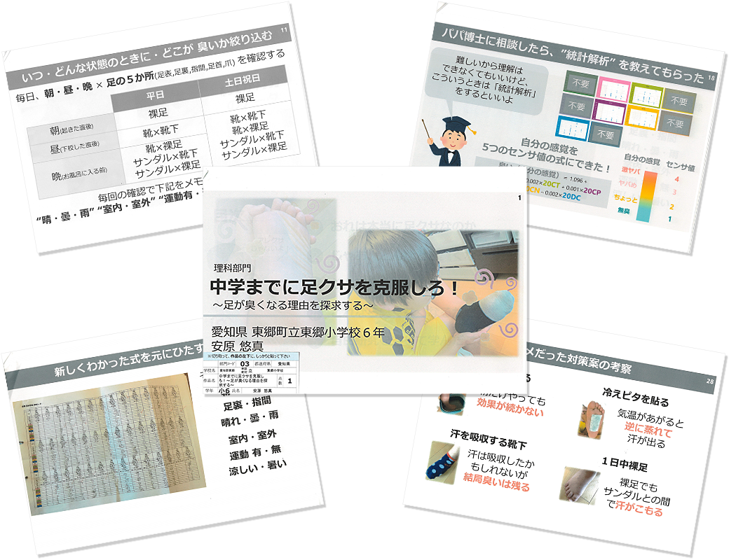 安原 悠真の作品