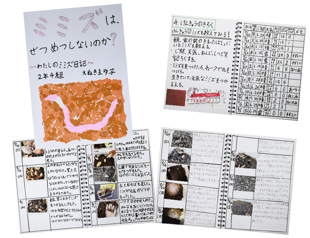 大貫 まゆ子の作品